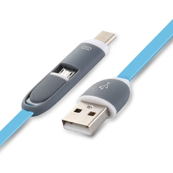 2 in 1 Micro USB to Type C Cable Adapter